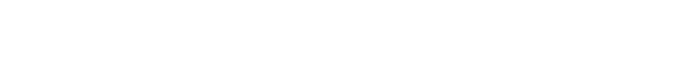 v1